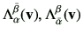 $ \Lambda_{\alpha}^{\bar{\beta}} ({\bf v}),\Lambda_{\bar{\alpha}}^{\beta}({\bf v})$