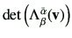 $ \det \left(\Lambda_{\beta}^{\bar{\alpha}}(\vv)\right)$